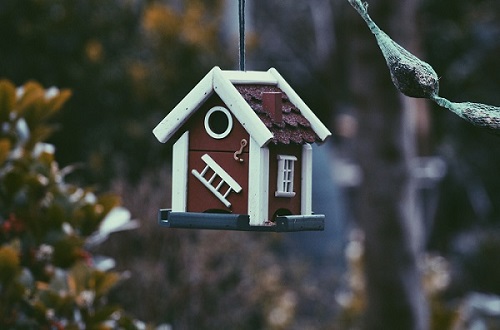 bird house hanging from tree branch