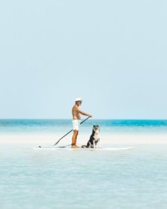 Man and dog on stand up paddle board