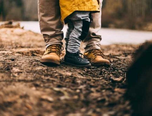 Michigan Rules of Intestate Succession